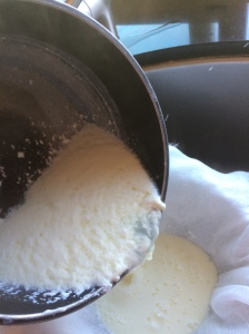 Here you can see the separation of the curds from the whey as its poured into the strainer.